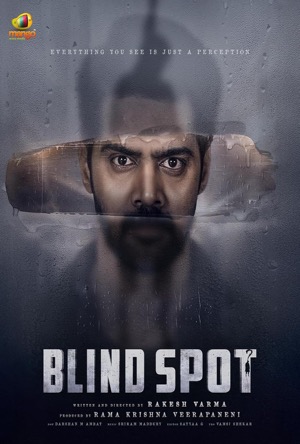 Blind Spot Full Movie Download Free 2025 Hindi Dubbed HD